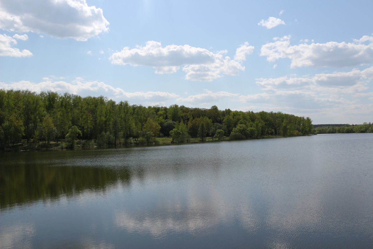 отражение - Мария Бербега