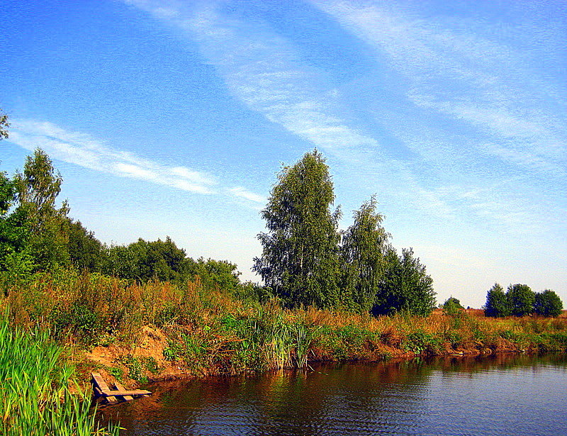 Пейзаж с прудом. - оля san-alondra