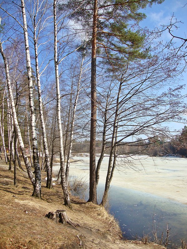 Лед тронулся - Лидия (naum.lidiya)