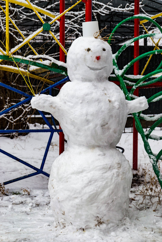 веселый снеговик - Alexandr Yemelyanov
