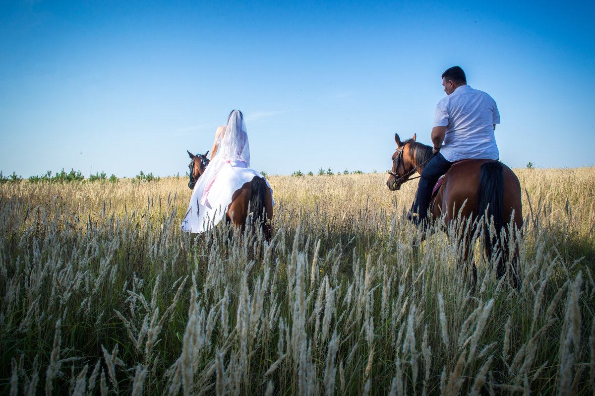 Молодожёны в поле на лошодях - Александра Андрющенко