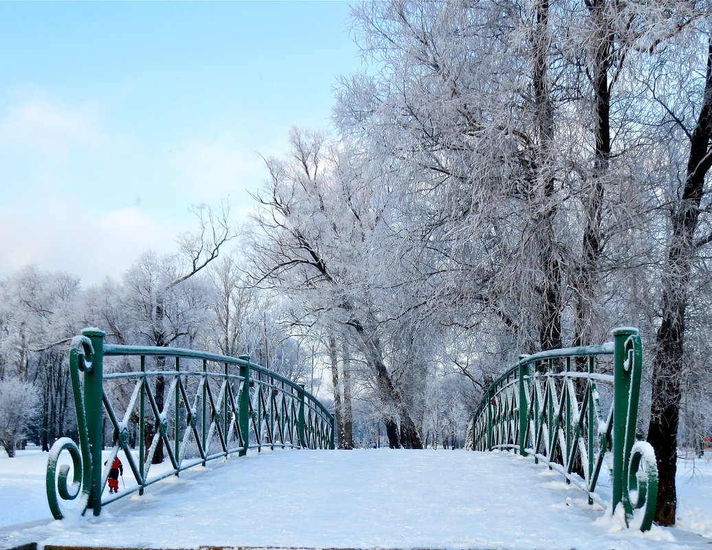 зимний мостик - Елена 