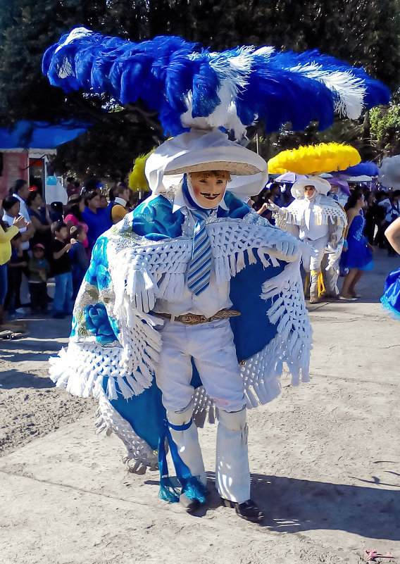 Карнавал, Мексика - Elena Spezia
