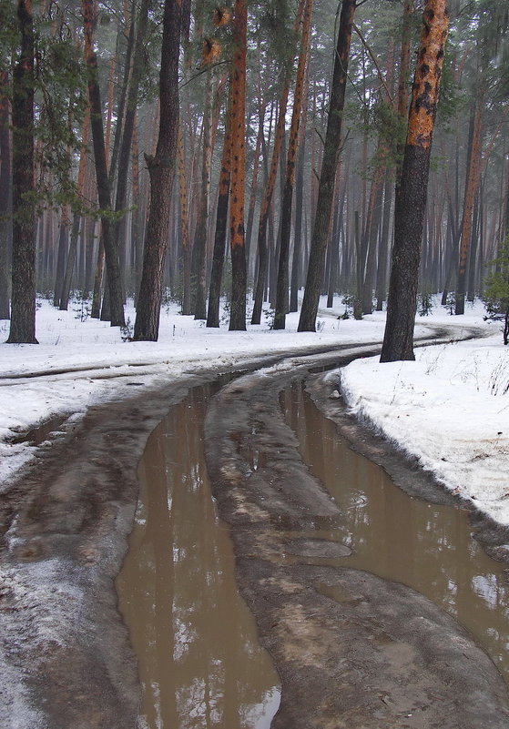 До срока талая вода... - Лесо-Вед (Баранов)