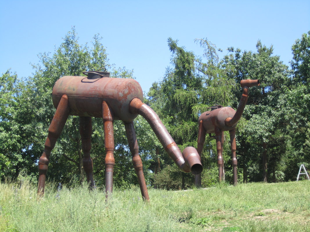 Чешские жирафы (Троя,Ботанический сад) - Marina Mikhailova