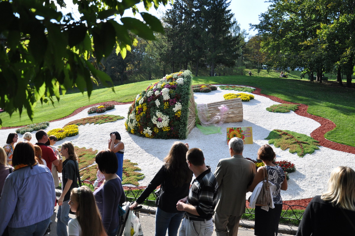 Выставка хризантем 2012 - dizelma Бак