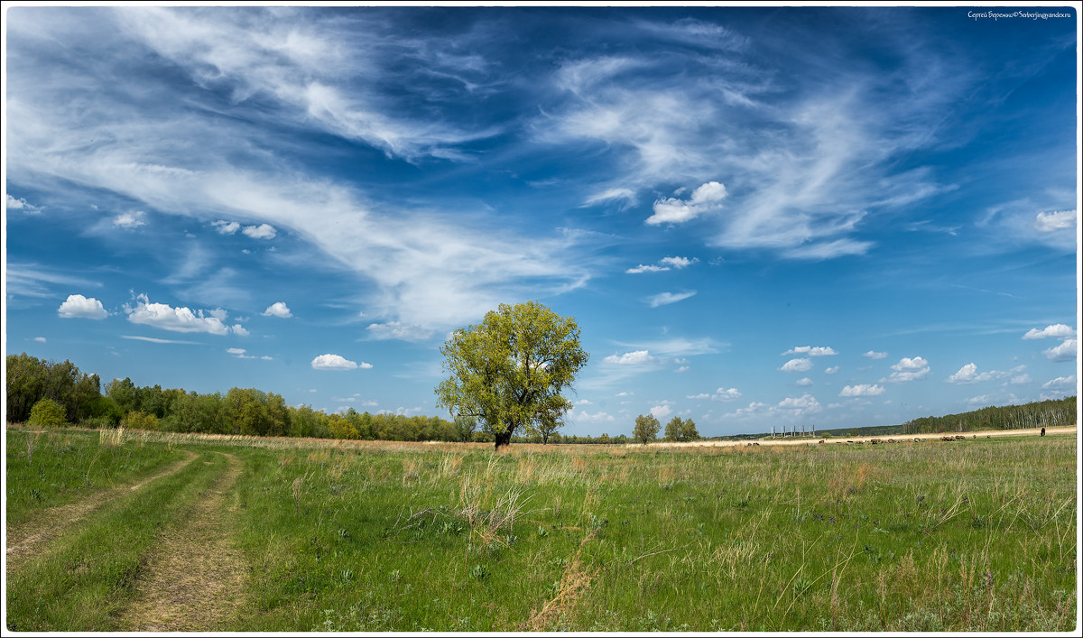 Чернолучье Омск природа