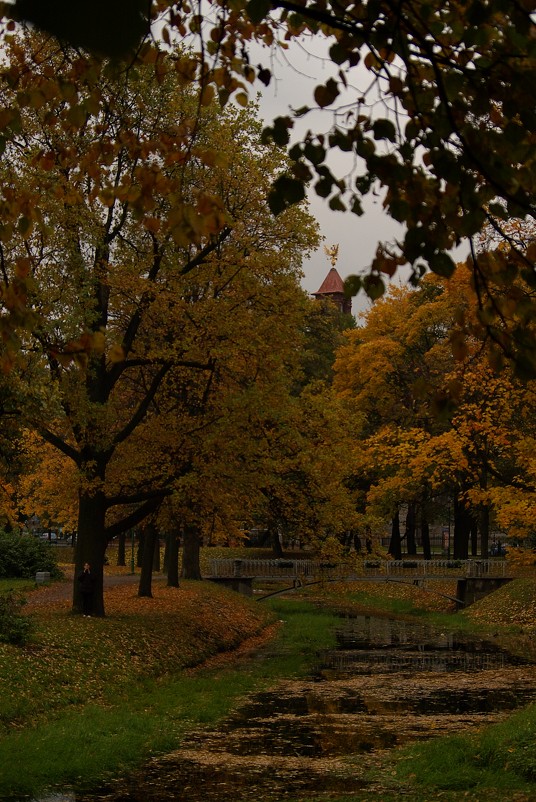 СПб-Таврический парк осенью - Сергей Клишов