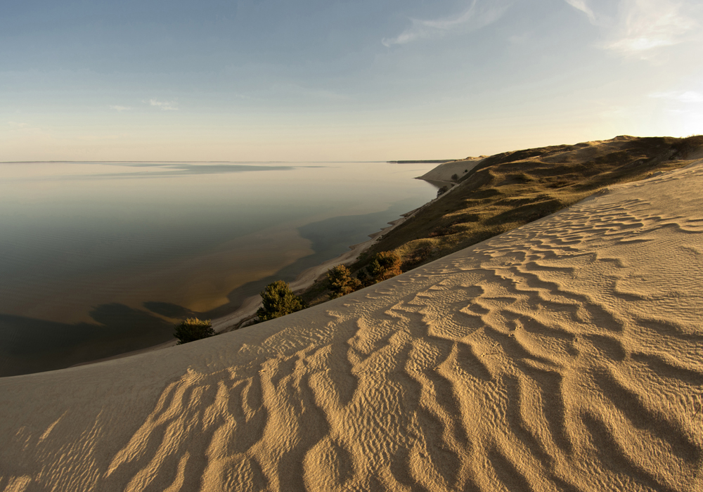 dunes - linas būdavas