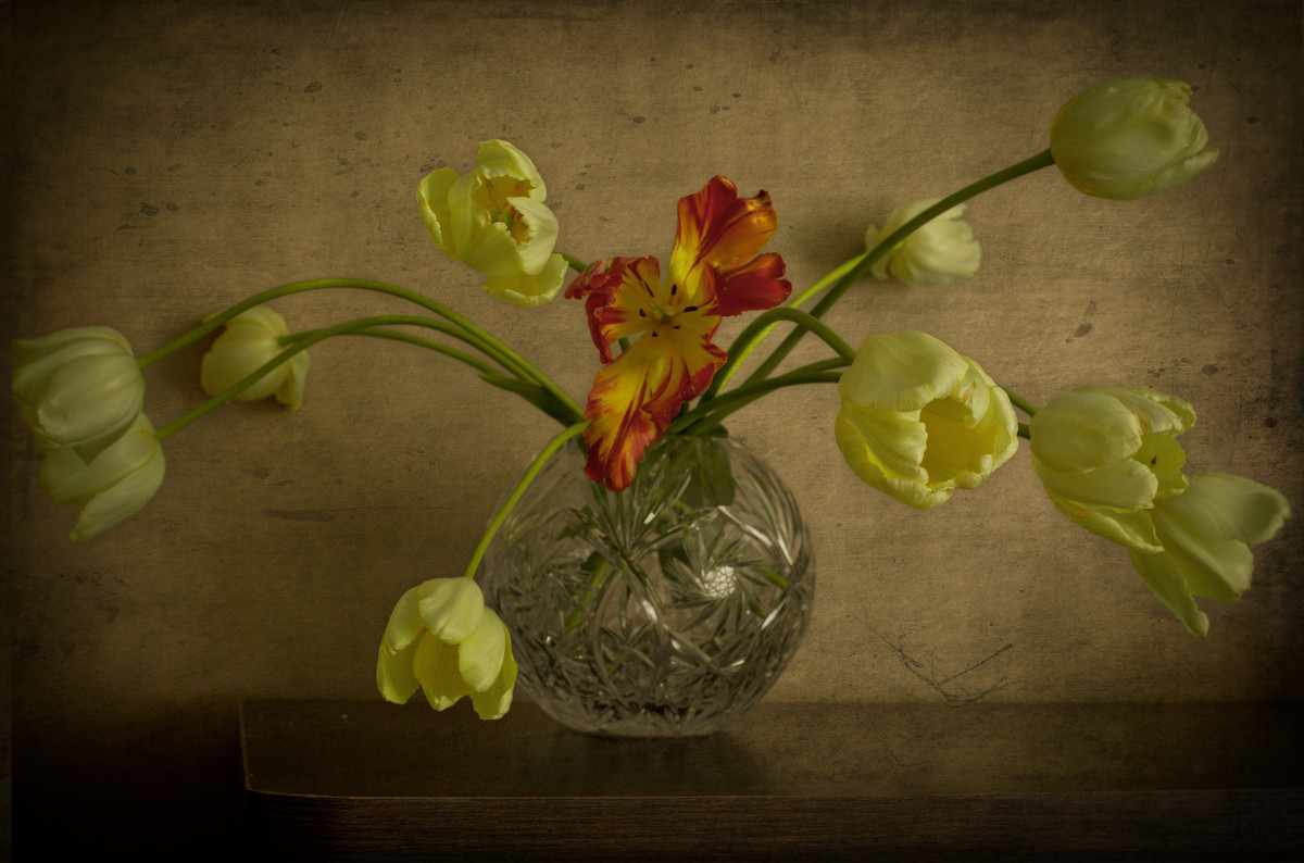 Жёлтые тюльпаны. - Анна Тихомирова