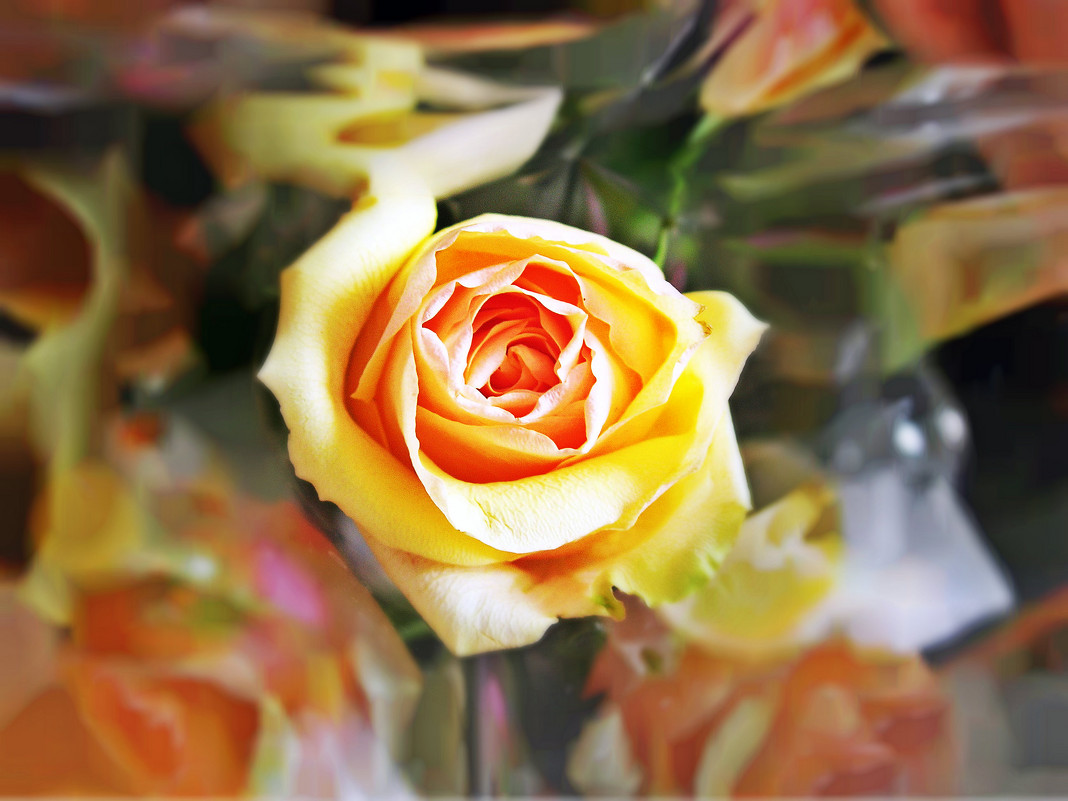 Жёлтая роза - алина 