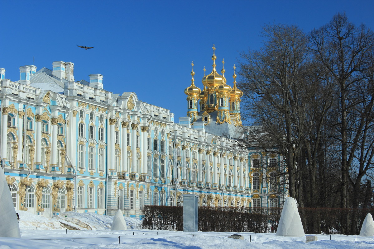 дворец в Пушкине - Надежда Астапова