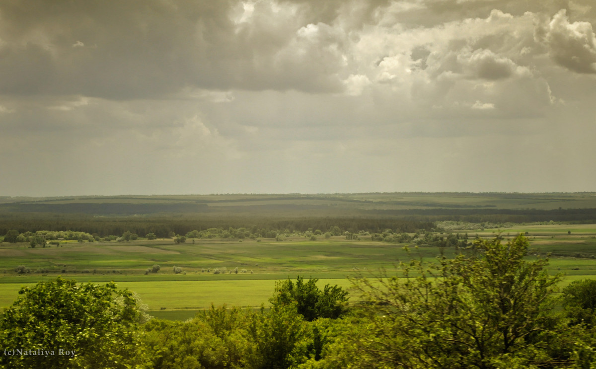 expectativa de tormentas - Наталия Рой