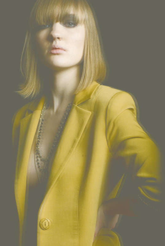 yellow jacket - Karol Key