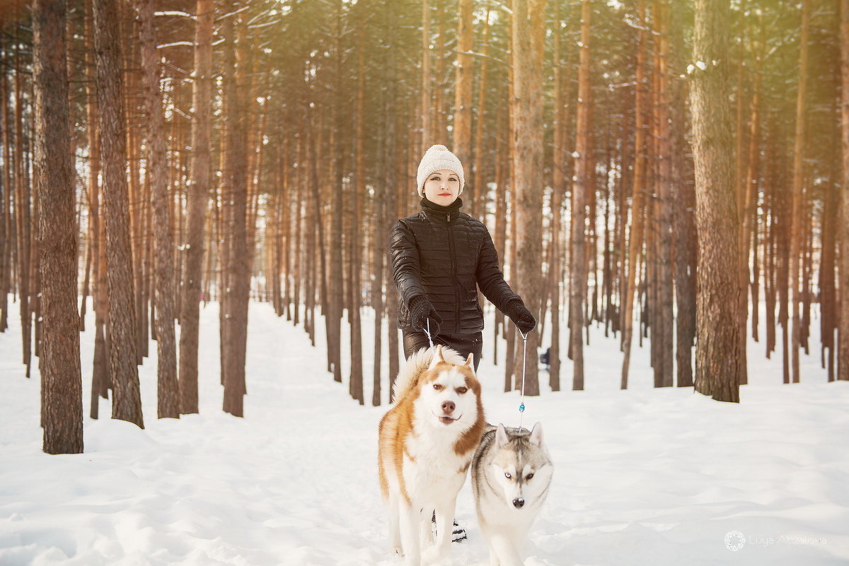 Зимняя фотосессия в лесу с хаски - Лилия Абзалова