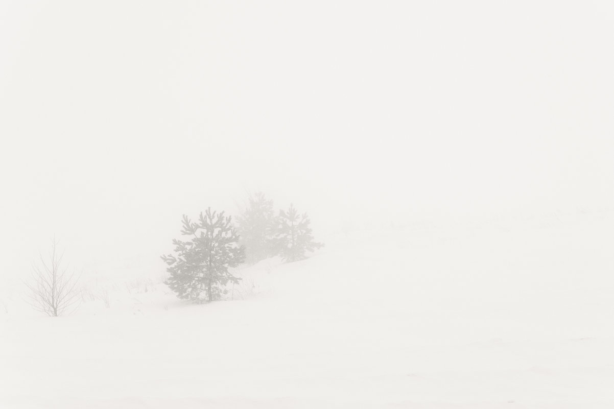 Туман - Дмитрий Чулков