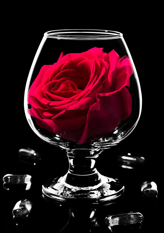Роза в бокале на черном - Наталья Глызина