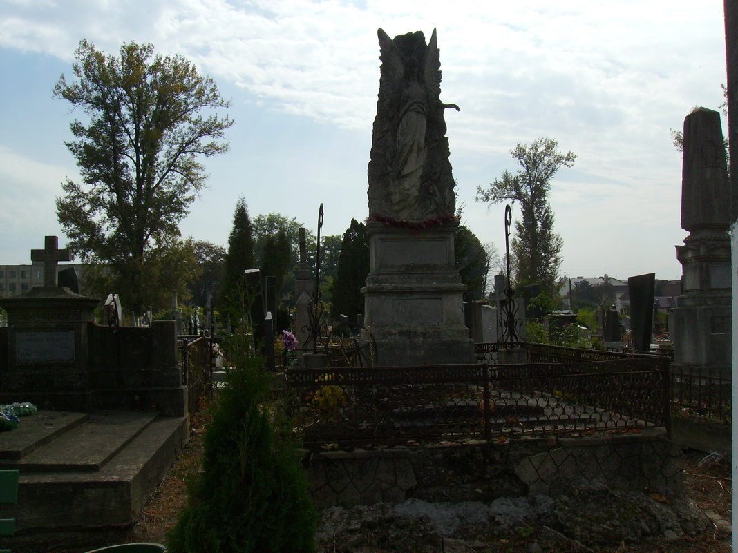 Старое  кладбище  в  Черновцах - Андрей  Васильевич Коляскин