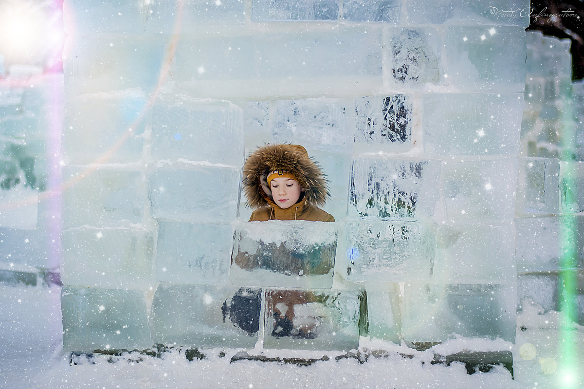 Ледяное царство - Наталия Анфиногентова