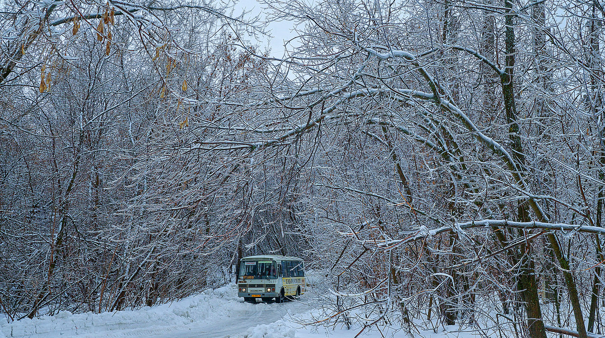 Ранняя весна в городе. Зауральная роща. - Elena Izotova