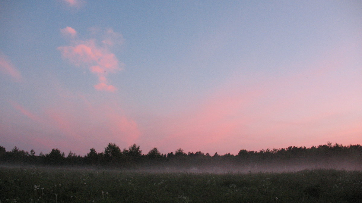 туман на поле - геннадий щербак