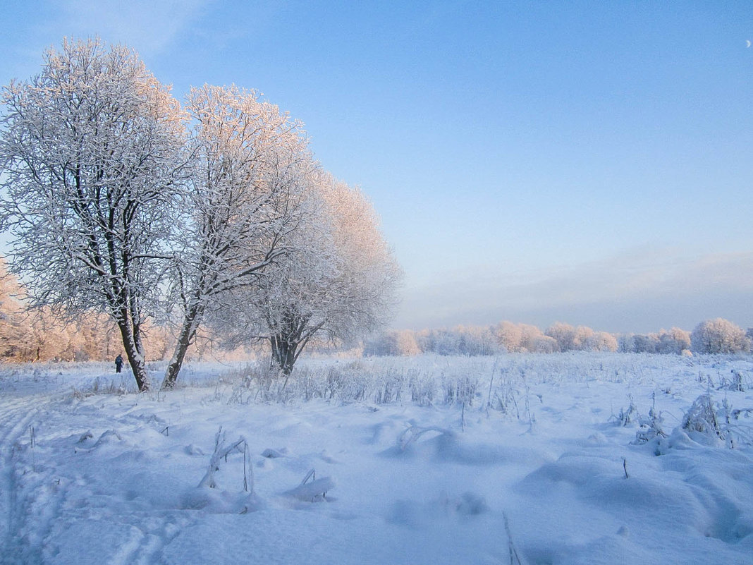 Зимний день - Алёнка Шапран
