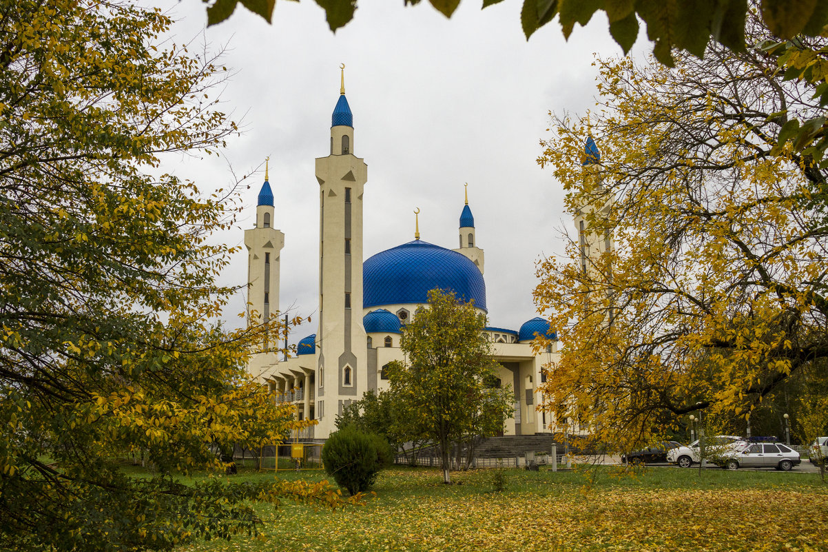 Мечеть - Елена Сергеева