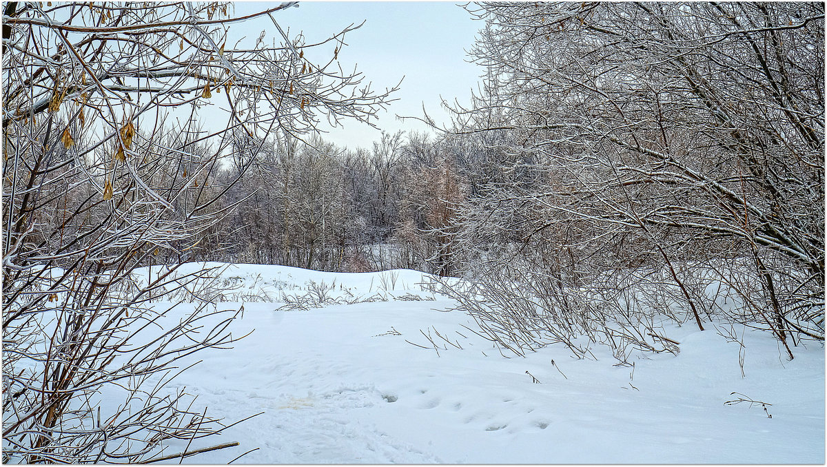 Ранняя весна в городе. Ледяная сказка. - Elena Izotova