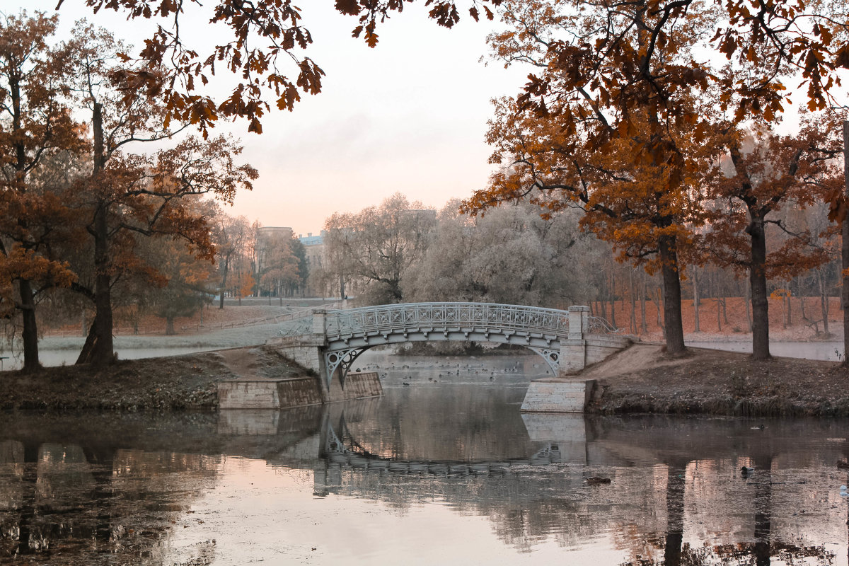 Осень - Алёнка Шапран