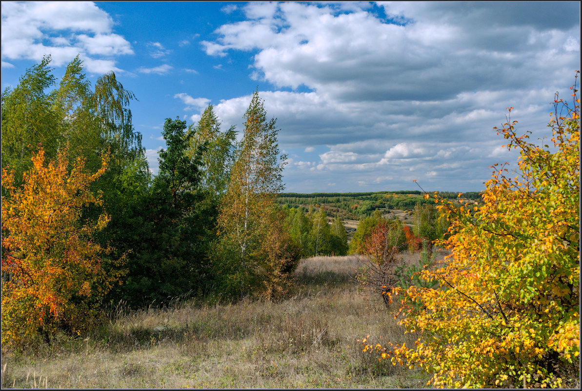 *** - Александр Лихачёв