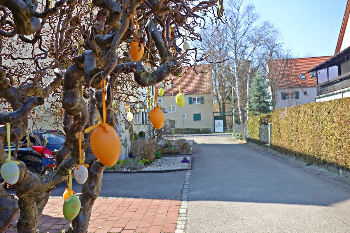 В ожидании пасхи  -   Osterbaum – ветка или деревце, украшенное цветными яйцами. - Galina Dzubina