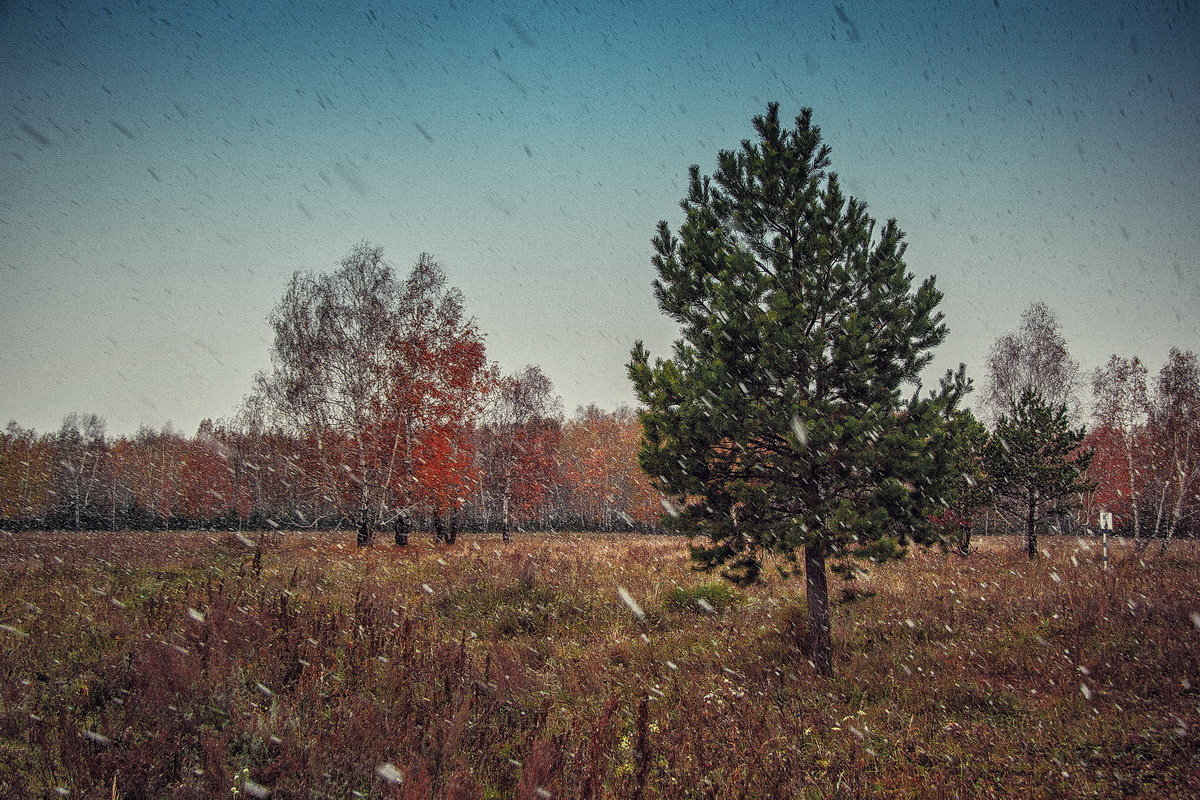 Первый снег - Алина Репко