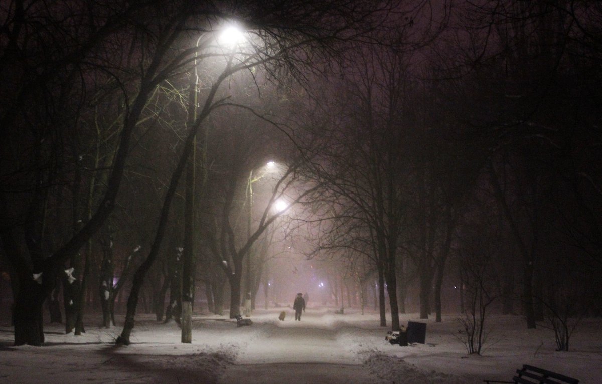 Туманный вечер - Алёна Найдёнова