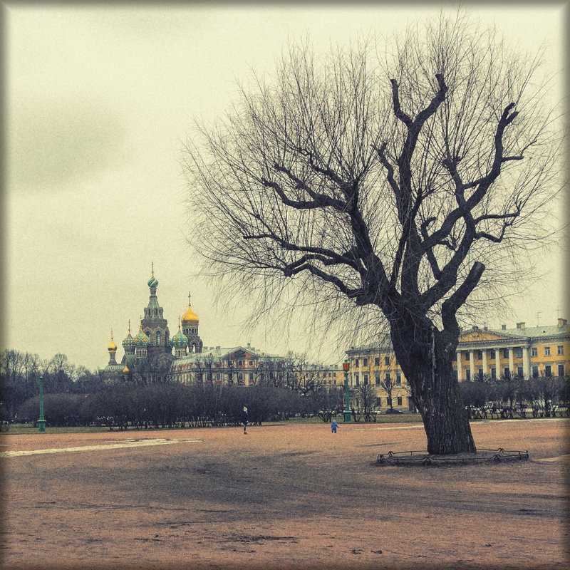 Марсово поле. Санкт-Петербург. - Сергей Еремин