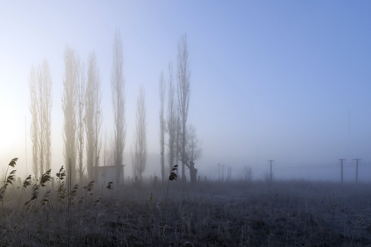 Туманное утро - Sergey Kuznetcov