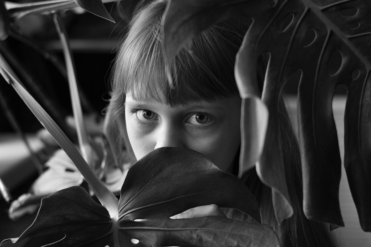 Сквозь листву - Дарья Накрайникова