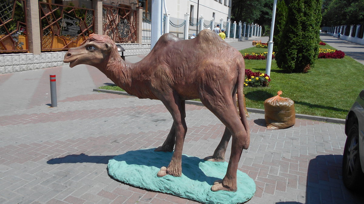 Скульптура "Верблюд" - Сергей Грымов