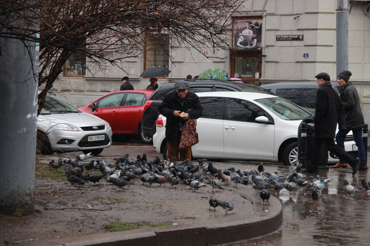 Lviv - Юлия Склярова