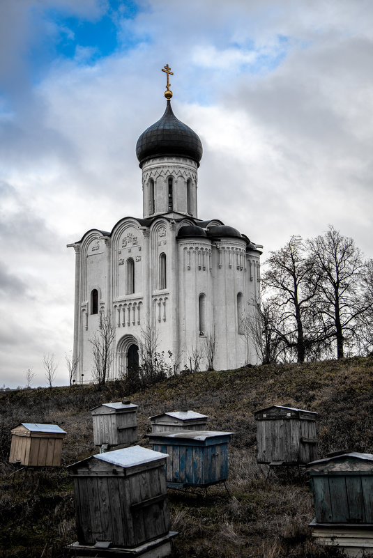 Храм Покрова на Нерли - Андрей Романов