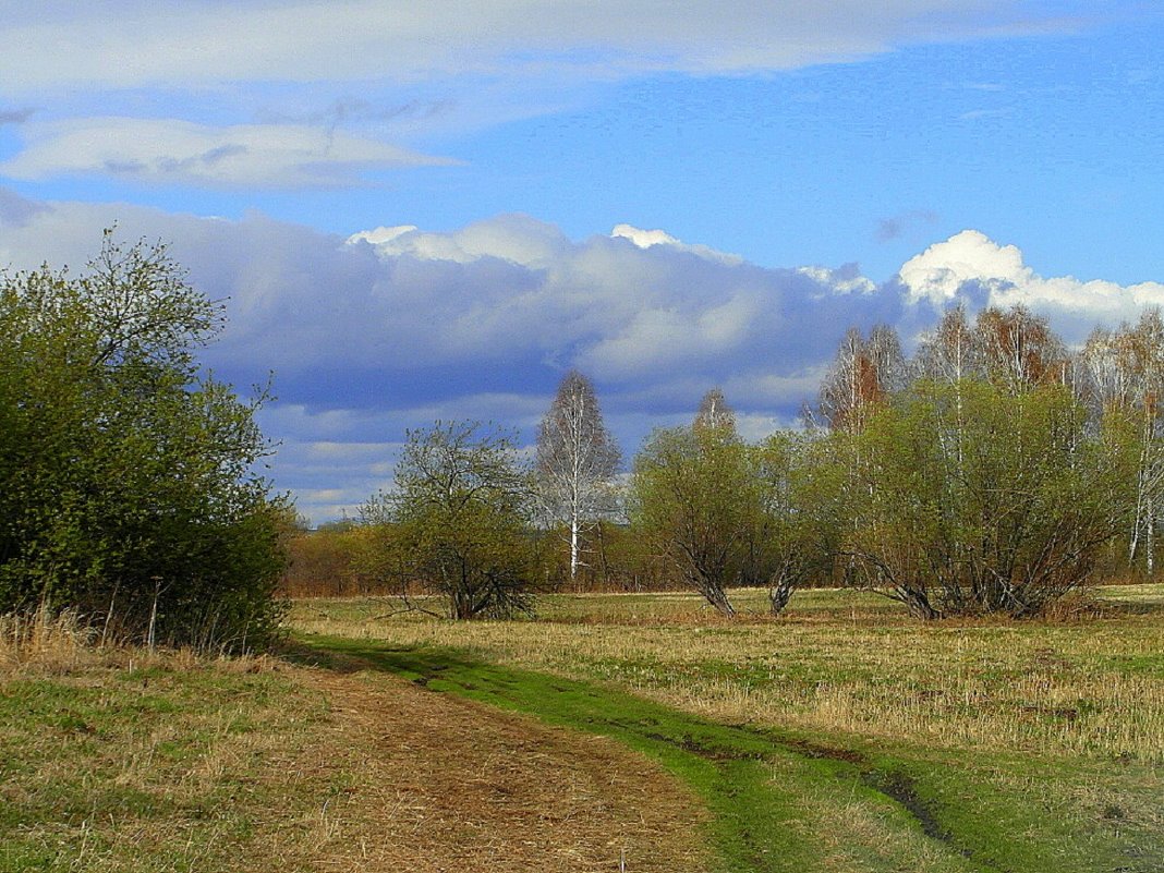 Весенний пейзаж. - nadyasilyuk Вознюк