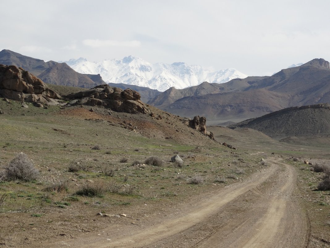 Дорога в горы - azer Zade 