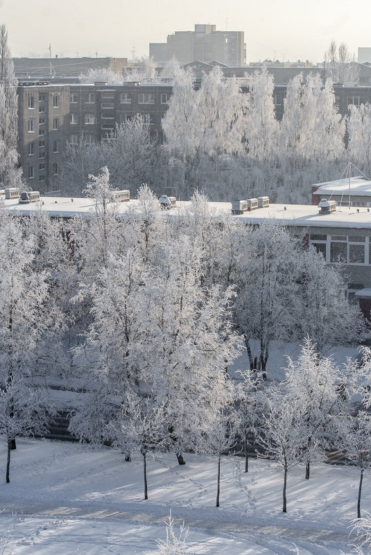Зима в городе - Aivaras Troščenka