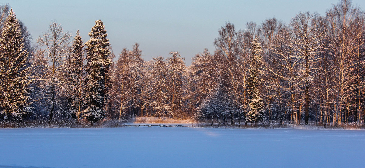 Зимняя сказка в Гатчинском парке - Алёнка Шапран