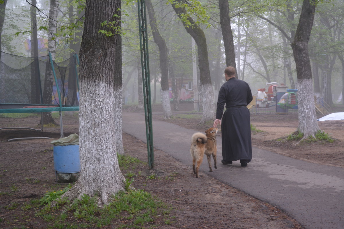 Утро туманное - Ирина Бархатова