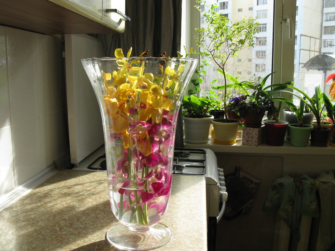 цветы из Тайланда - Ольга 