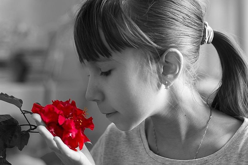 Прекрасный цветок - Екатерина Асютина