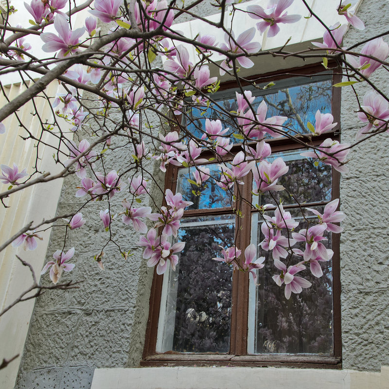 Весна...! - Ирина Шарапова