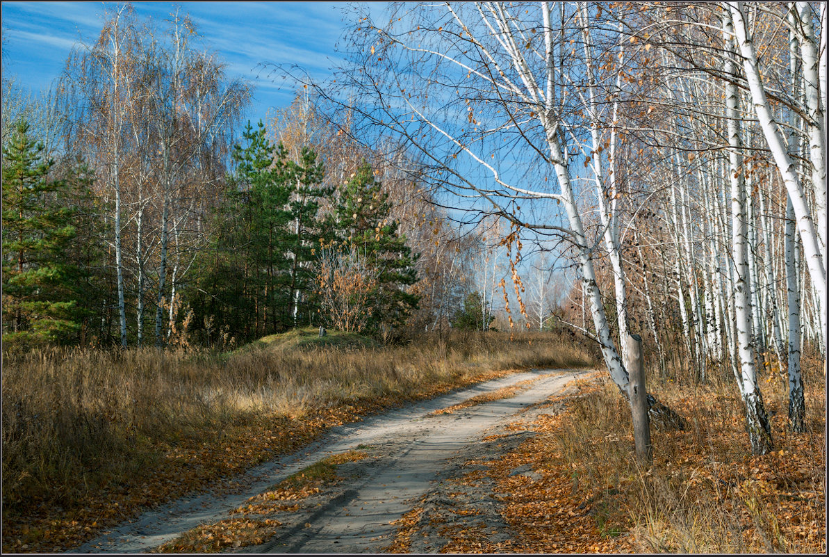 *** - Александр Лихачёв