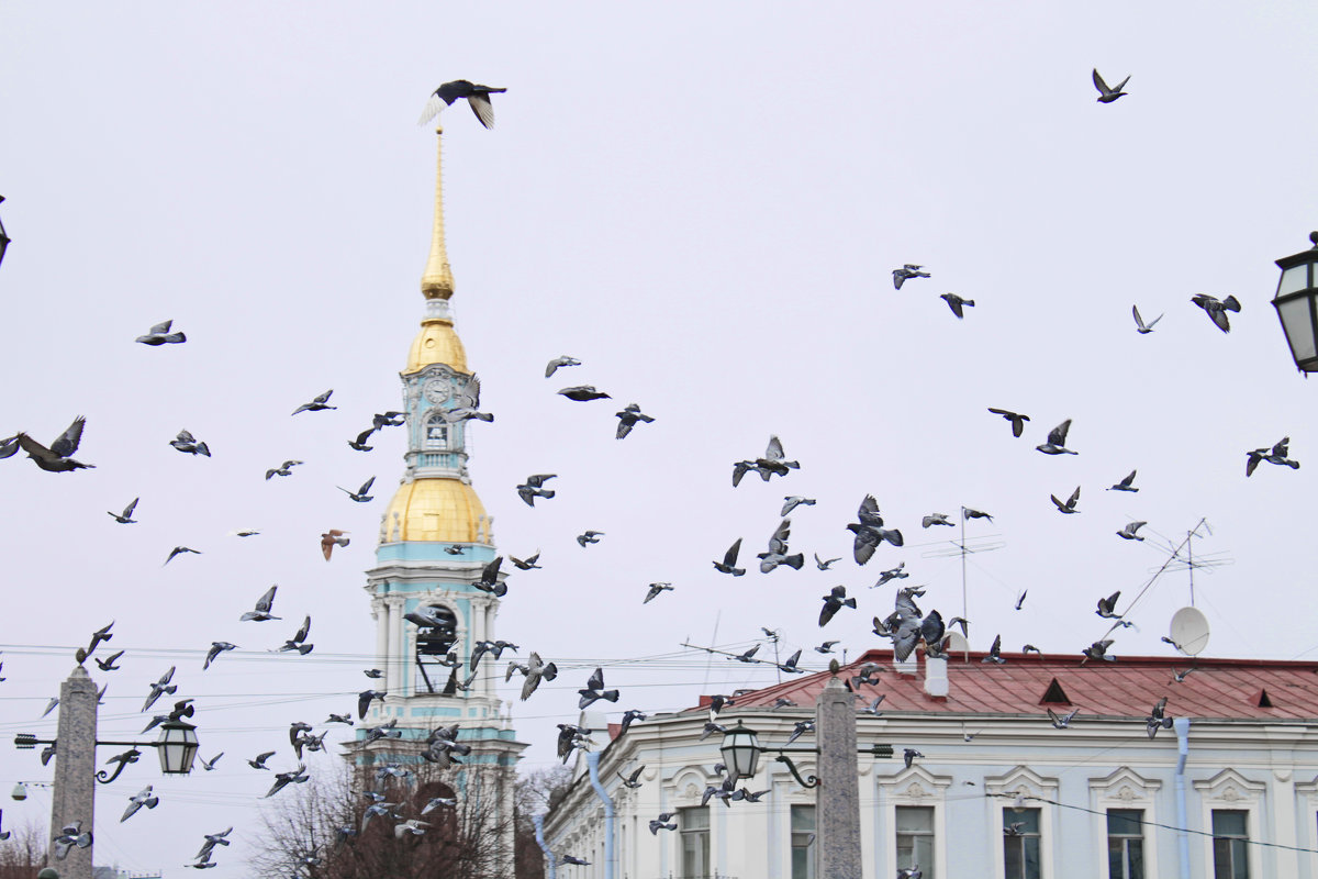 Вспугнули... - Людмила Волдыкова