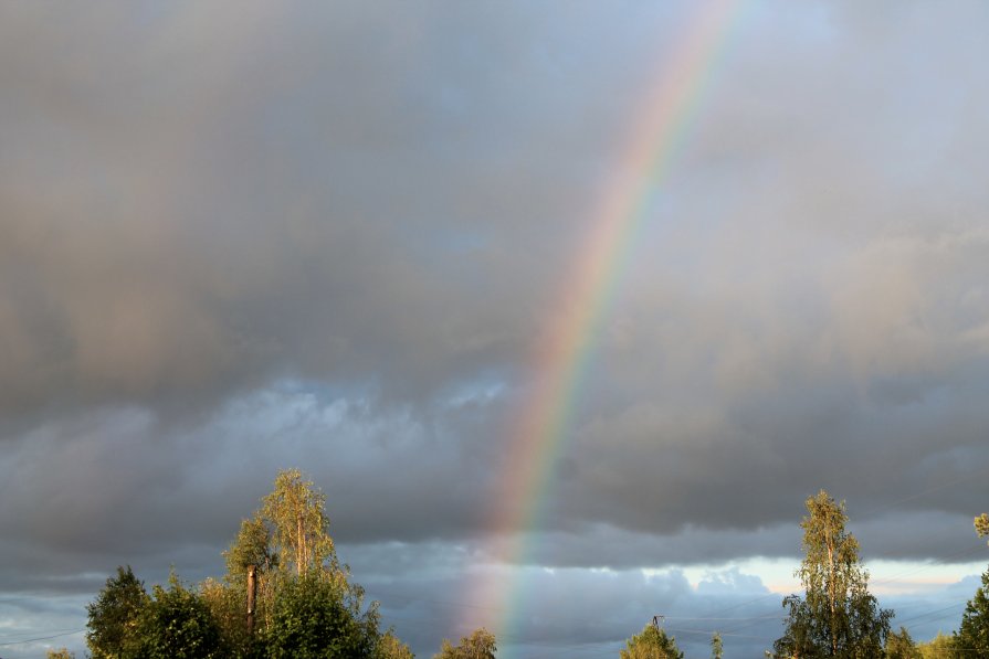 rainbow - Никита Васильков